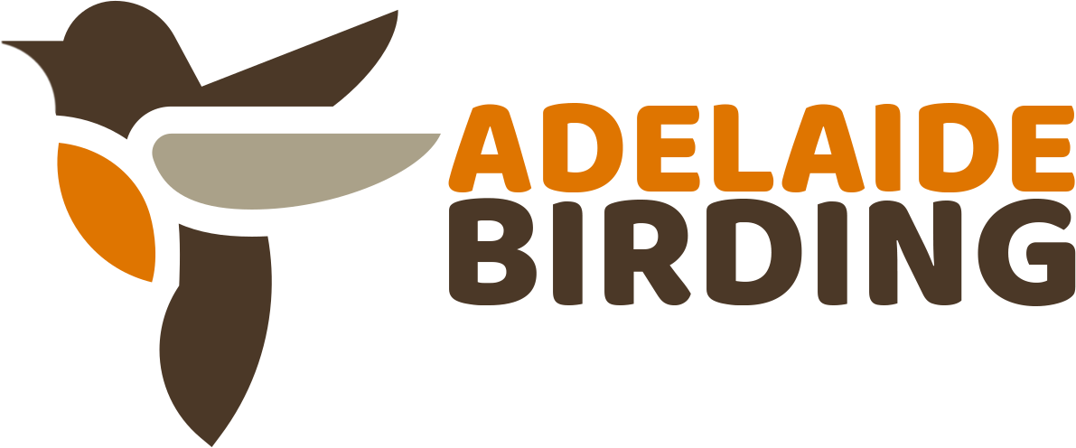 Birding Adelaide